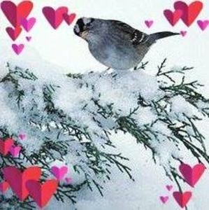 Meet your Posher, Lc